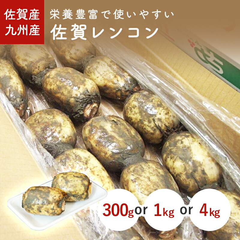 葉山椒　木の芽1キロ 木の芽（きのめ・山椒の葉） 1パック 国産 : おおつる青果