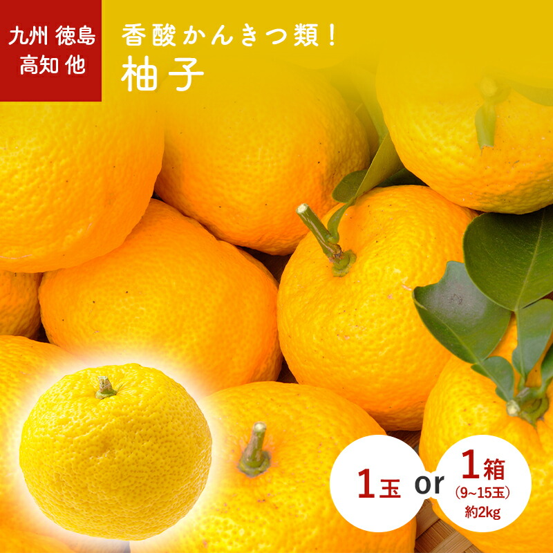 楽天市場】令和8年8月上旬予約・まくわうり（まくわ瓜・マクワウリ