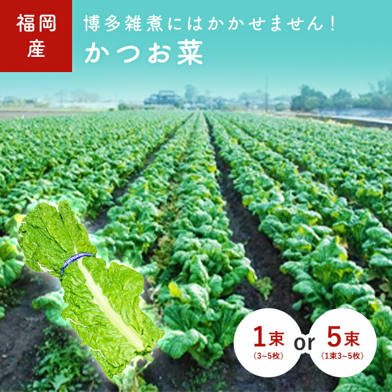 楽天市場】＜箱売り＞ しめじ（シメジ） 1箱（約200g×30袋入り