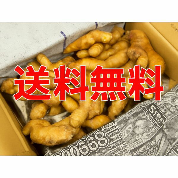 楽天市場】＜箱売り＞ 生姜（しょうが） 1箱（約4kg入り） 熊本・長崎