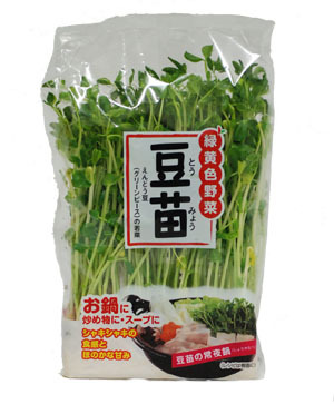 九州産　豆苗（とうみょう）　とても栄養価の高い野菜！　1袋　九州の安心・安全な野菜！　【九州・福岡産】