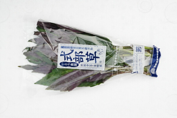 楽天市場】金時草〈キンジソウ〉別称：式部草〈シキブソウ〉1ケース