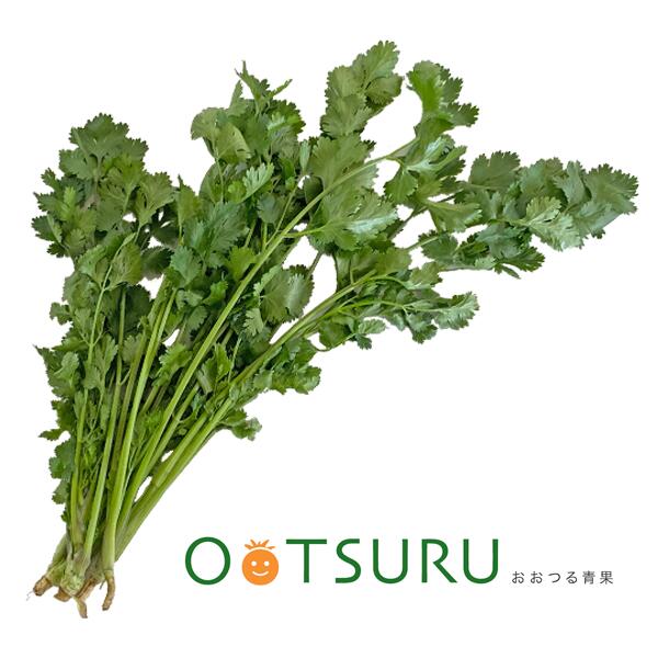 楽天市場】パクチー 1パック【コリアンダー シャンサイ シャンツァイ