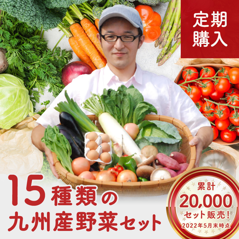 　おまかせ　九州野菜セット　15品 旬の野菜詰め合せ・おまかせ詰め合わせセット！　人気のセット！　西日本　