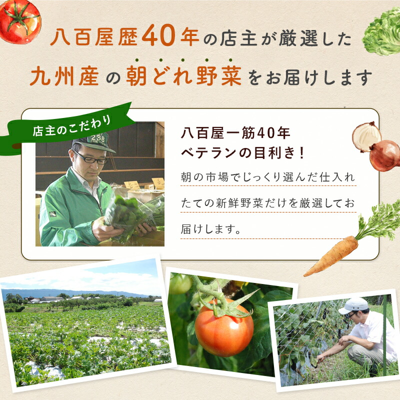 市場 あす楽 おまかせ詰め合わせセット 12品 セット 旬の野菜詰め合せ 九州野菜セット おまかせ