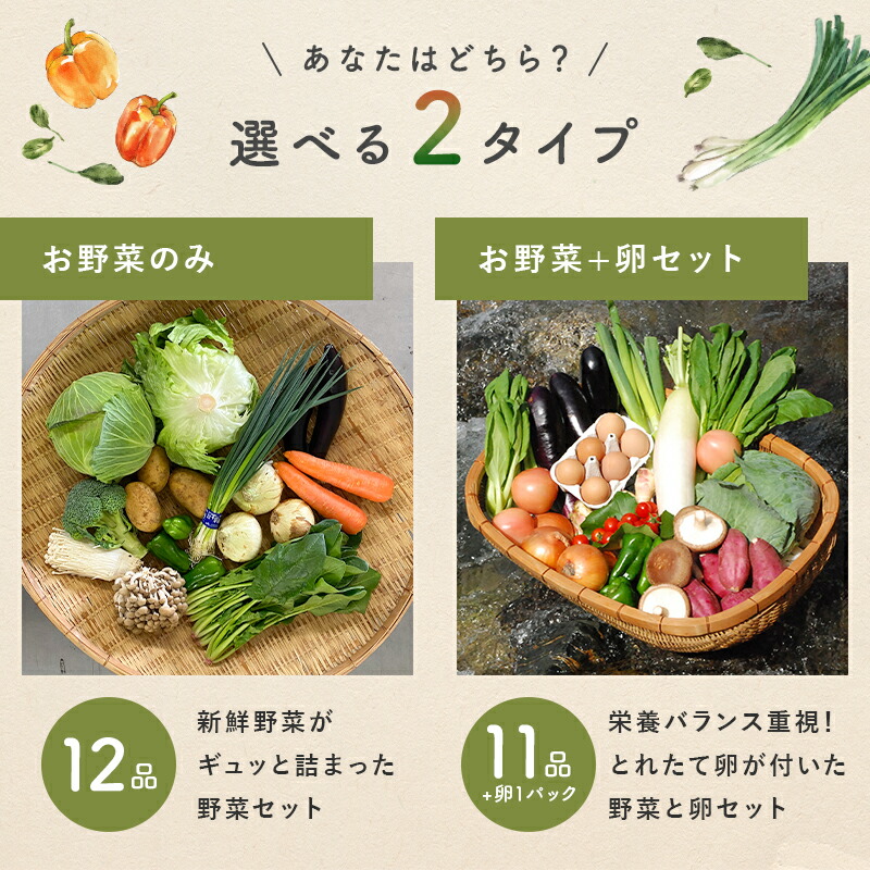 市場 あす楽 おまかせ詰め合わせセット 12品 セット 旬の野菜詰め合せ 九州野菜セット おまかせ