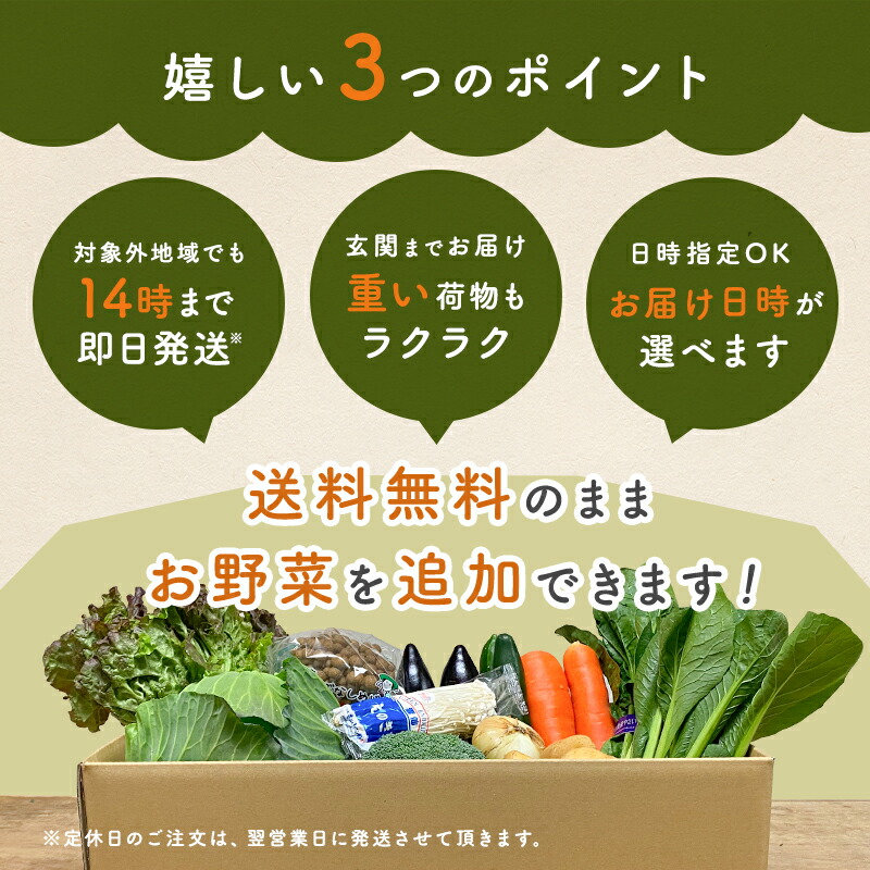 市場 あす楽 おまかせ詰め合わせセット 12品 セット 旬の野菜詰め合せ 九州野菜セット おまかせ