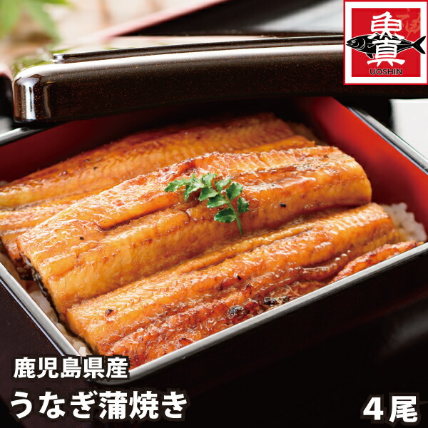 爆安プライス 鹿児島県産 うなぎ蒲焼 4尾 1尾 約140g ウナギ 鰻 有頭 かば焼き蒲焼き うなぎ国産 魚真 魚真 Uoshin 全国組立設置無料 Barguna Police Gov