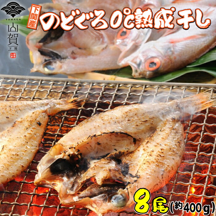 下関産 のどぐろ 0°C 熟成干し 8枚 送料無料 のどぐろ 干物 ひもの 干物ギフト 干物セット 詰め合わせ 開き 赤ムツ アカムツ 山賀 高級 ギフト お取り寄せ グルメ 食べ物 ご飯のお供 ご飯の友 お惣菜 絶品 プレゼント 贈り物