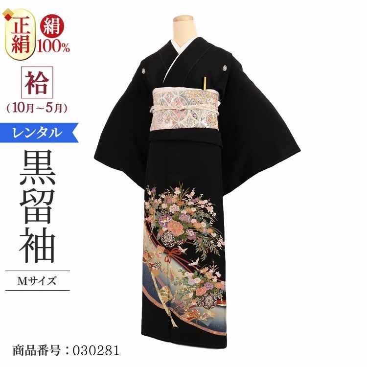 絽　黒留袖　セット　留袖　夏物　夏着物　紫　波　紗　夏帯　絽着物 単衣,絽の着物レンタル|RENCA