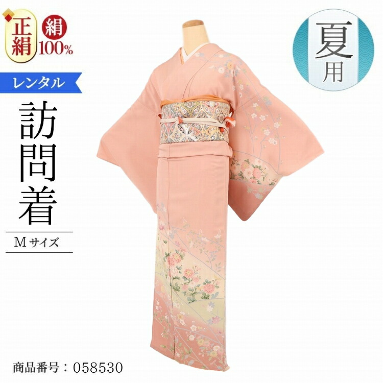 夏　着物　単衣　正絹　蝶々　付け下げ 058530top.jpg