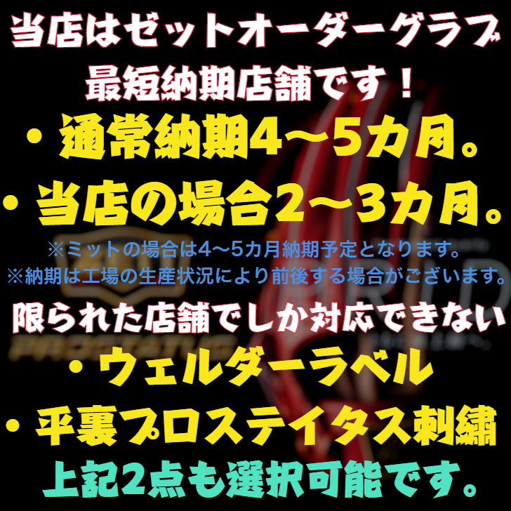 ゼット 軟式用 オーダーグローブ 湯もみ型付け無料 ZETT