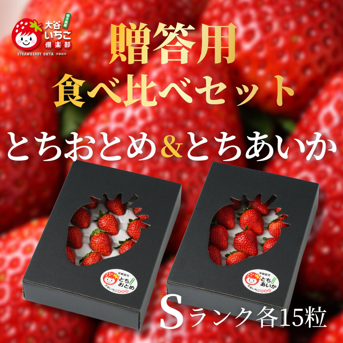 【送料無料】Sランク 国産いちご とちおとめ とちあいか 贈答用 食べ比べ 30粒（化粧箱入り各15粒） いちご イチゴ 苺 果物 フルーツ 国産 栃木産 ギフト 母の日 父の日 敬老の日 お歳暮 お中元