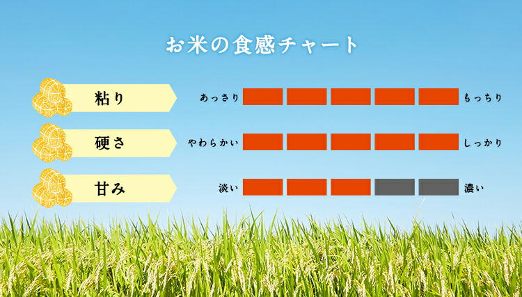 546円 【国際ブランド】 令和3年 北海道産 ゆめぴりか 2kg 特A 米 精米 白米 2キロ 分づき米 コロナ 応援 食品 入学内祝い 引っ越し  挨拶 名入れ お米 プレゼント のし対応