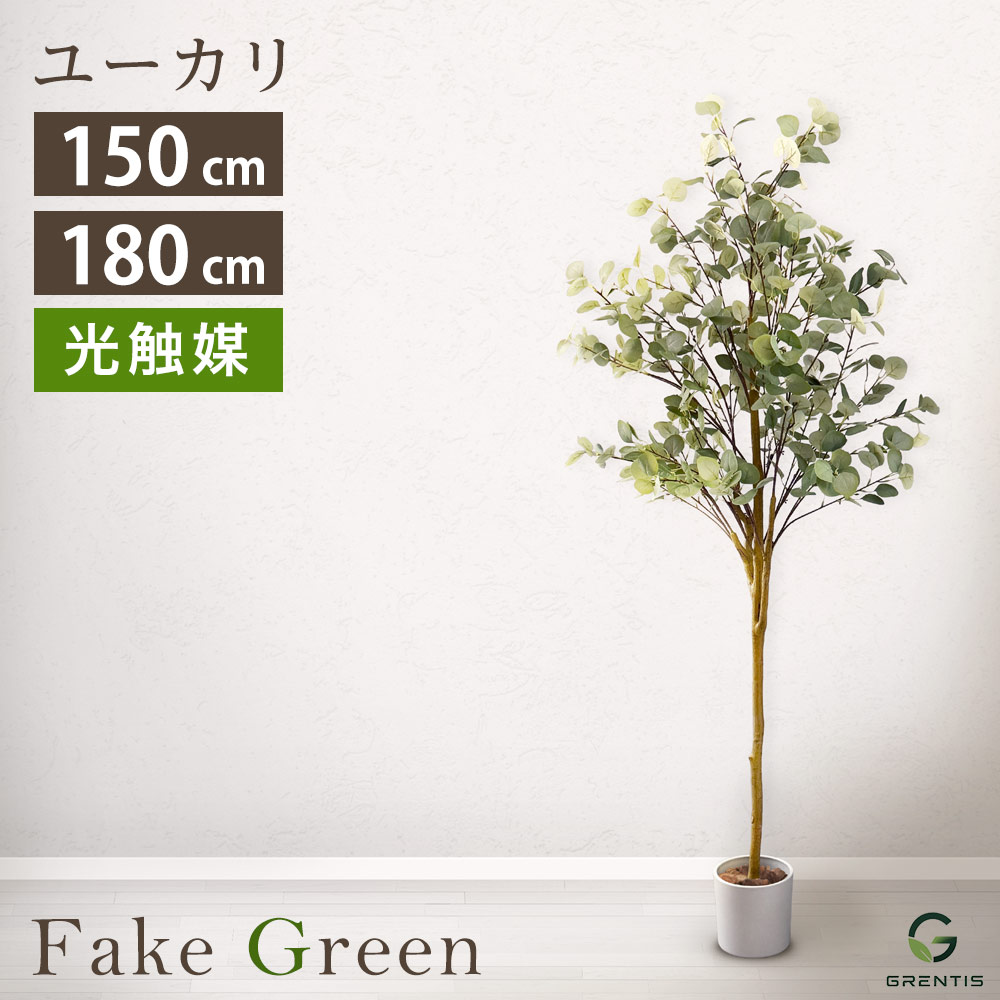 フェイクグリーン AG-EUC ユーカリノキ 高さ150糎/180糎 GRENTIS(グレンティス)【光触媒 人工 観葉草木 大型 鉢付 執務室緑であること まがい物 造花 室内 本物そっくり 植栽】