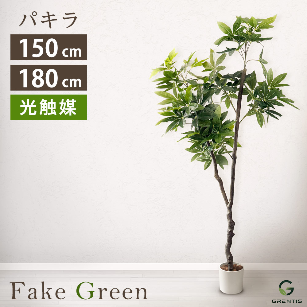 フェイクグリーン AG-PAC パキラ 高さ150cm/180cm GRENTIS(グレンティス)【光触媒 人工 観葉植物 大型 鉢付 オフィスグリーン フェイク 造花 室内 本物そっくり 植栽】｜OPEN キッチン