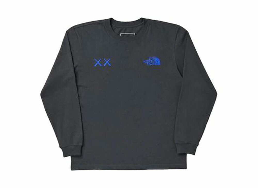 【本物保証 /関税・送料無料】The North Face Kaws L/S Tee KAWS x The North Face L/S T-shirt Black Men's - FW22 - US