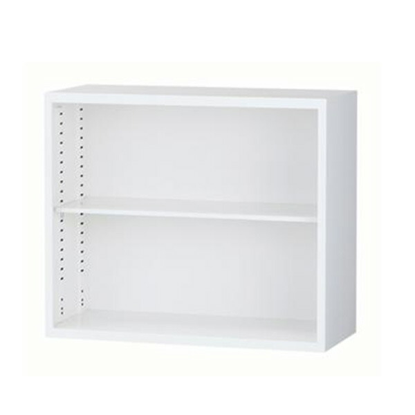 収納家具 書庫 公公然たる書庫 事務室納める W880 D380 H750 ALZ-K32 A4相応う 切り上げる品 ALZつづき物 【新品事務室調度品】