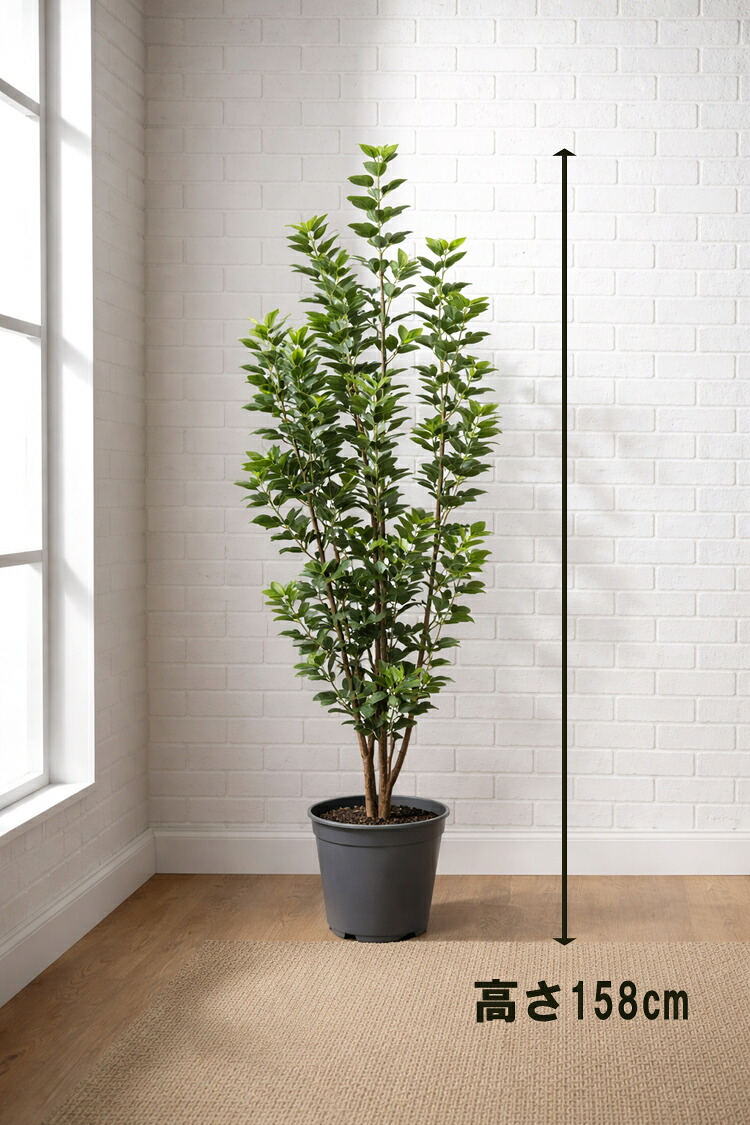 フェイクグリーン フランスゴム風 オフィスグリーン 観葉植物 インテリアグリーン 人工観葉植物