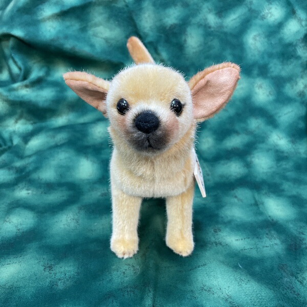 楽天市場】ケーセン Koesen ぬいぐるみ チワワ CHIHUAHUA