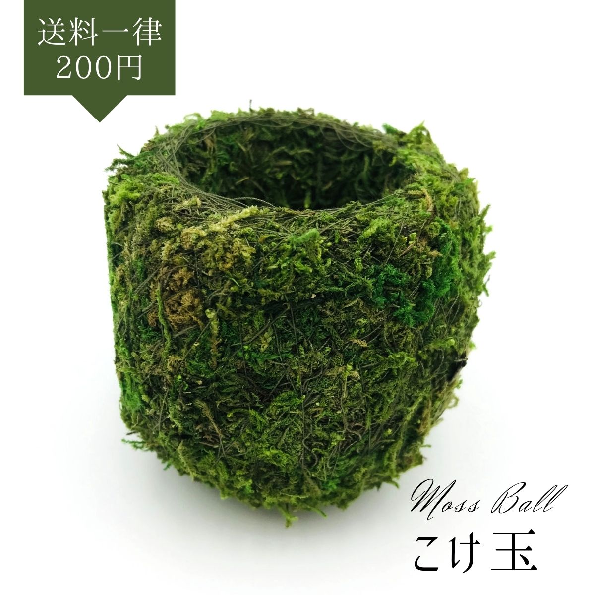 市場 こけ玉 8cm アレンジ 園芸資材 単品 簡単 お手軽 手作り