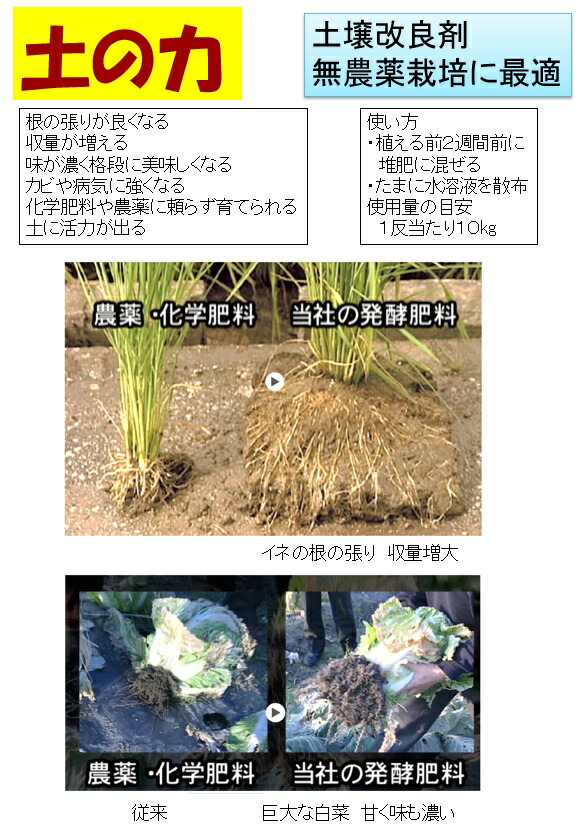 新発売の 黒ニンニク 500g１袋 有機肥料青森県認証特別栽培農産物 ニンニク にんにく 黒 黒ニンニク 黒にんにく サプリ サプリメント 無添加 自然 国産 ギフト プレゼント スタミナ 元気 正規激安 Www Lexusoman Com