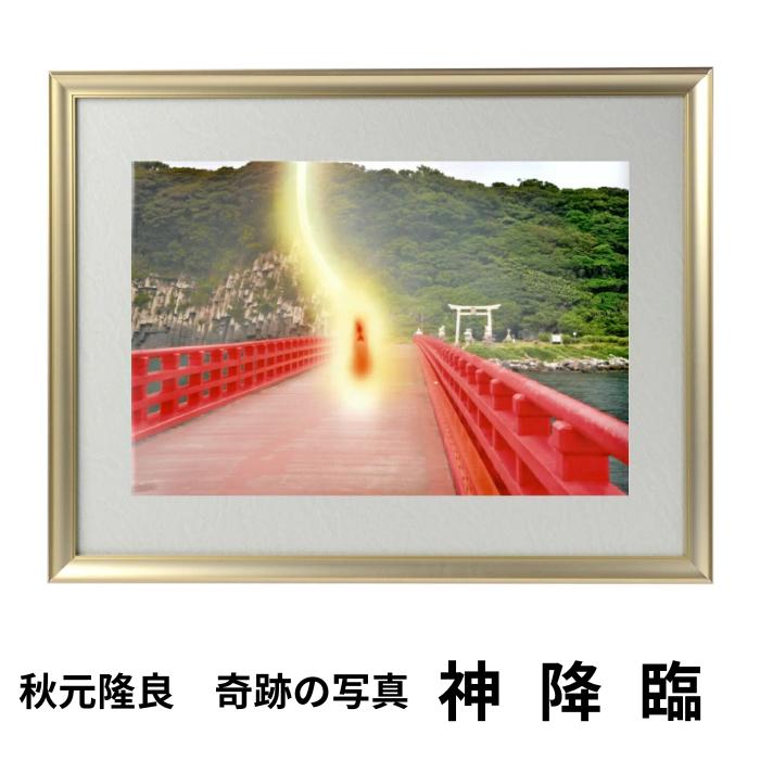 新着案内書