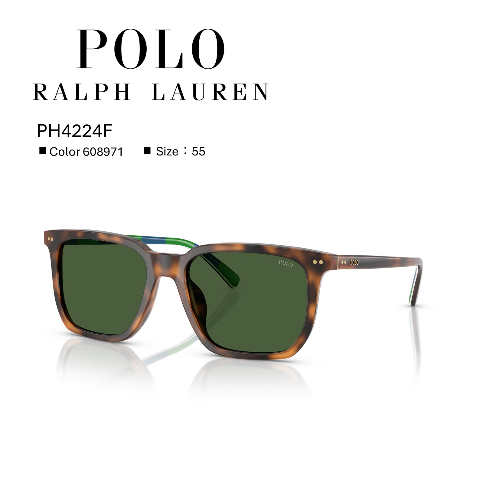 楽天市場】【キャンペーン期間中】いまなら50%OFF ポロ・ラルフ