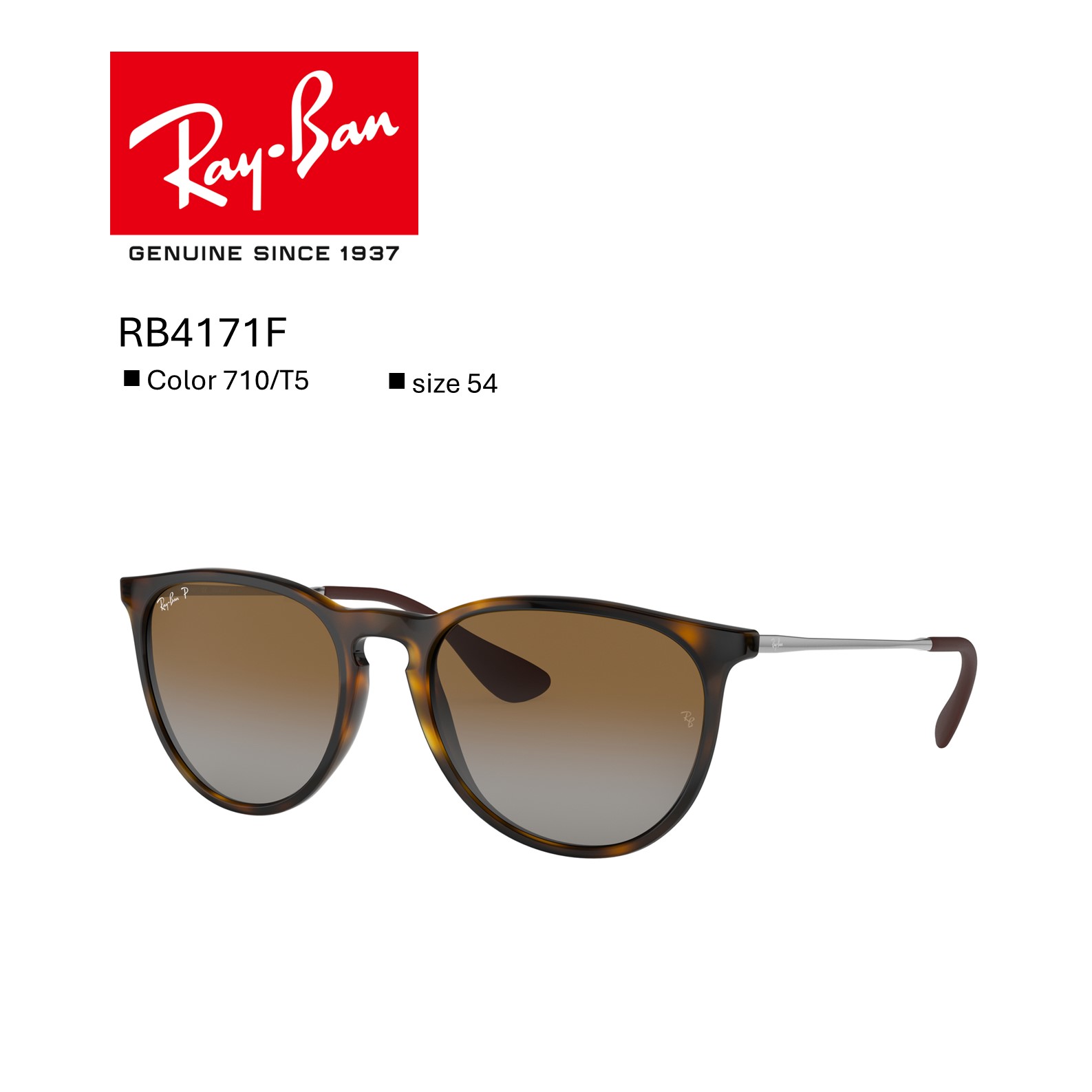 楽天市場】キャンペーン期間中 今なら20％OFF【国内正規品】レイバン