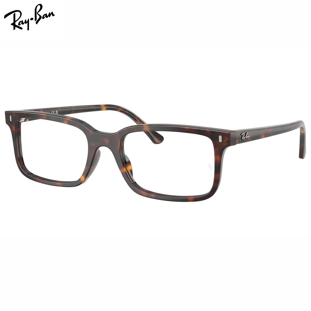 Ray-Ban RX5445F 2012 54 メガネ レイバン純正レンズ対応 レイバン 度数付き対応 メンズ レディース [25N2RX]