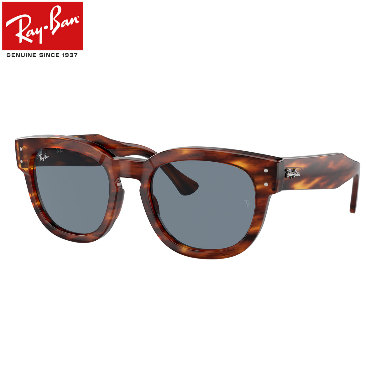 rb0298sf-95462.jpg