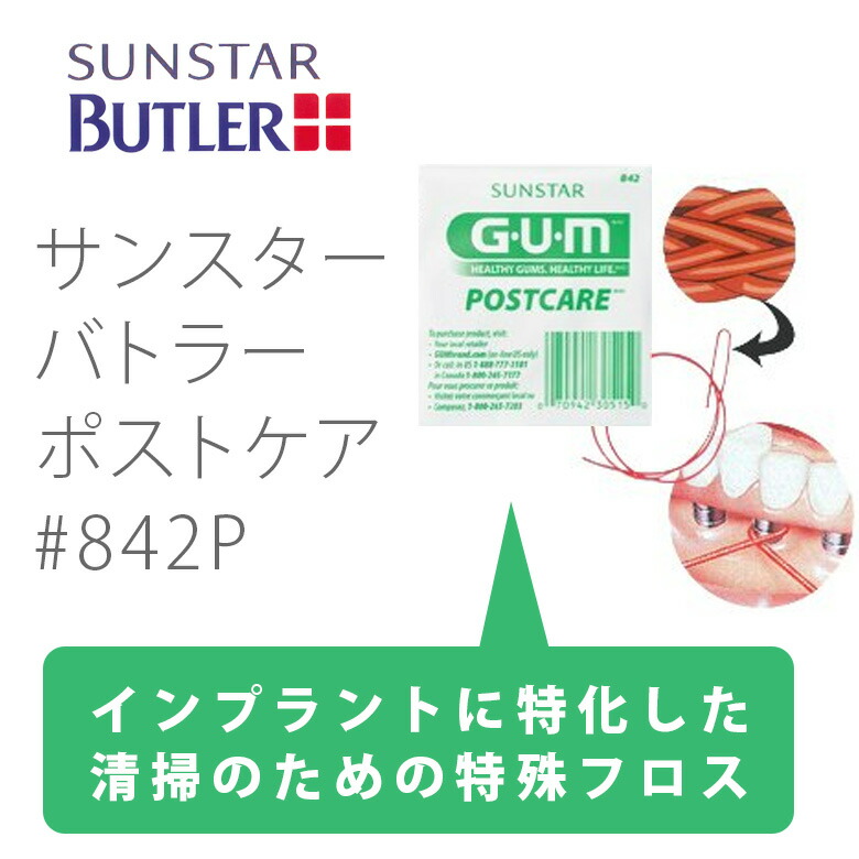 サンはやりっ児 バトラー 郵便物厄介 842p 25固化 郵書イージー不可 送料無料 インプラントクレンジング掛かりフロス Restaurant Valentino De