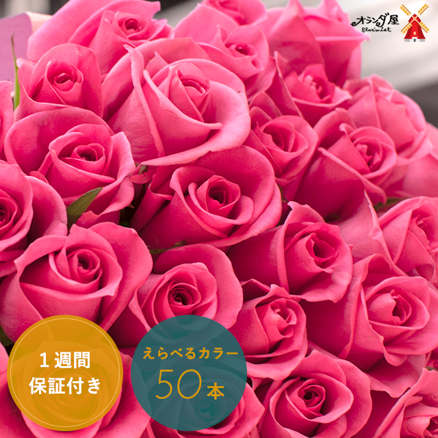 楽天市場 送料無料 バラの花束50本入りピンク系 バラ花束薔薇薔薇の花束バラの花束ピンク誕生日還暦祝い記念日 フラワーギフトの森