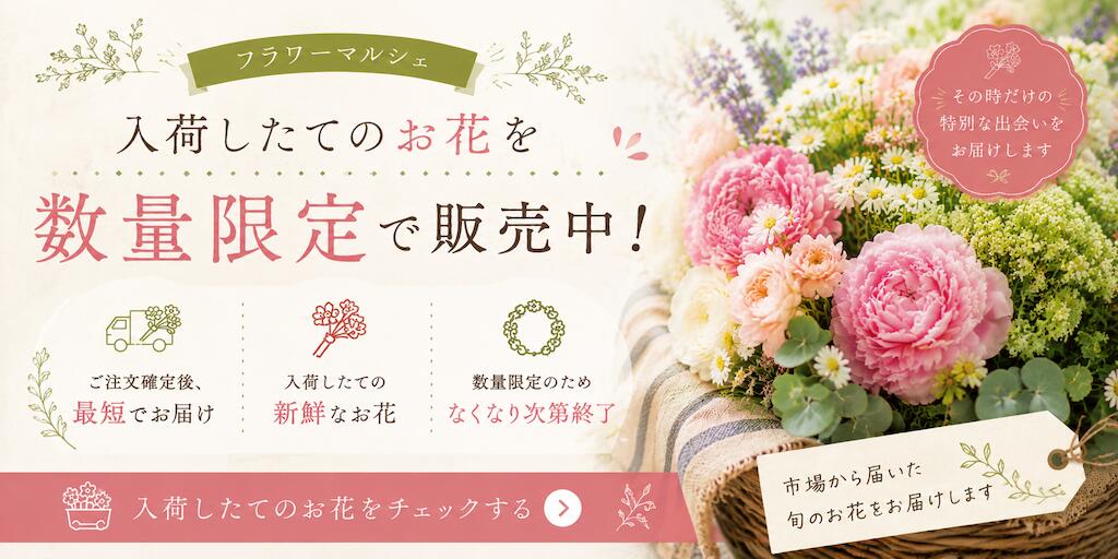 楽天市場】遅れてごめんね カーネーション【クレアピンク】母の日