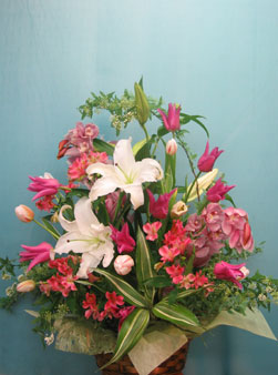 楽天市場 オランダ屋おまかせアレンジ アレンジメント ギフト 花 記念日 開店祝い オランダ屋