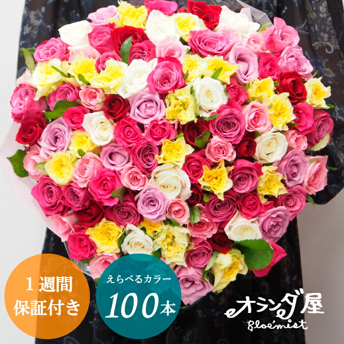 晴れ晴れしい◆色が選べる◆【 薔薇100本の胸花  性質引き請ける】言い入れる 胸花 生まれ落ちる日 一緒になる不死化日 還暦 赤 サクラ色 薔薇 100本 胸花 ローズ お花 差し上げ物 差し上げ物 不死化日 一緒になる 祝い事 喜寿 お歳暮 米寿 金婚式 バレンタイン 愛妻の日 白いことデー 卒 卒式 退社 退社祝