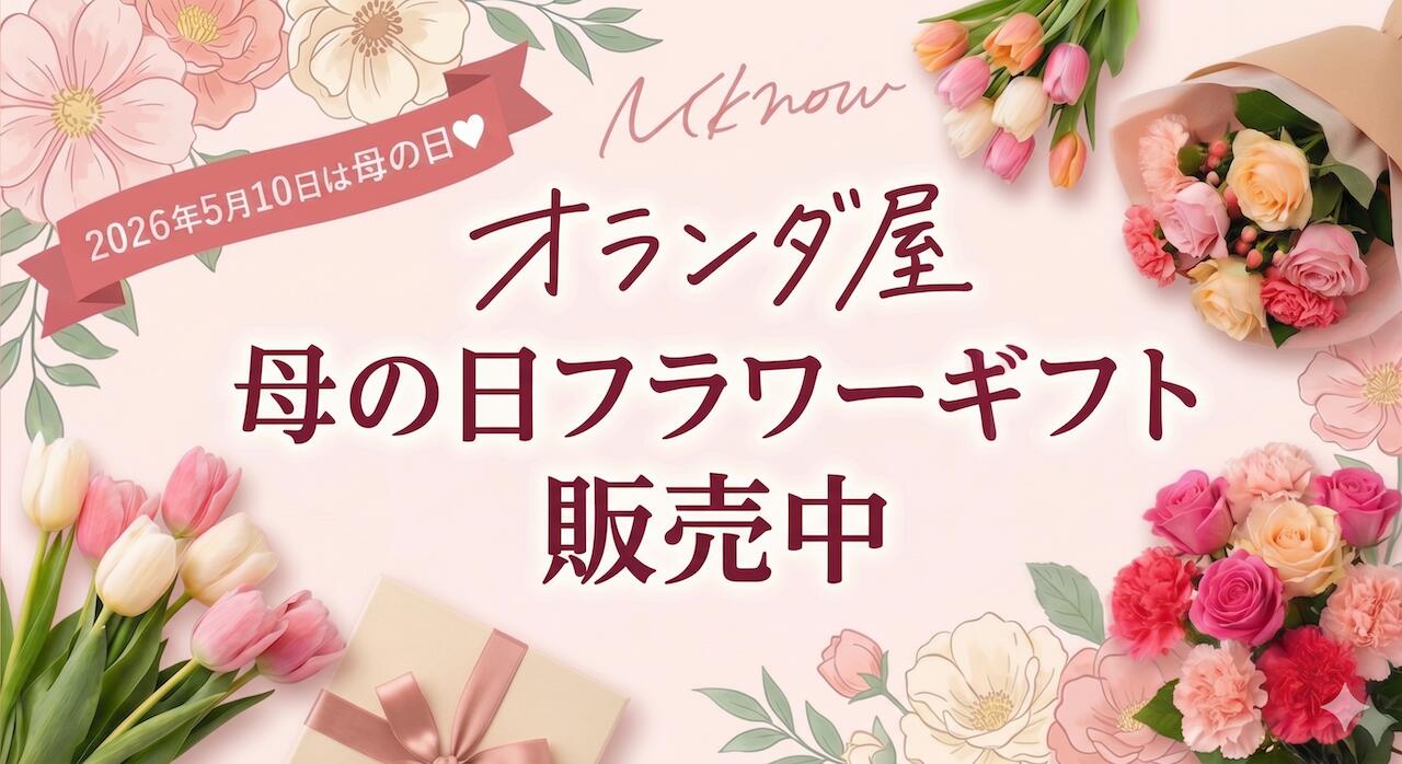 楽天市場】まだ間に合う カーネーション【セレクト】【母の日 対応商品