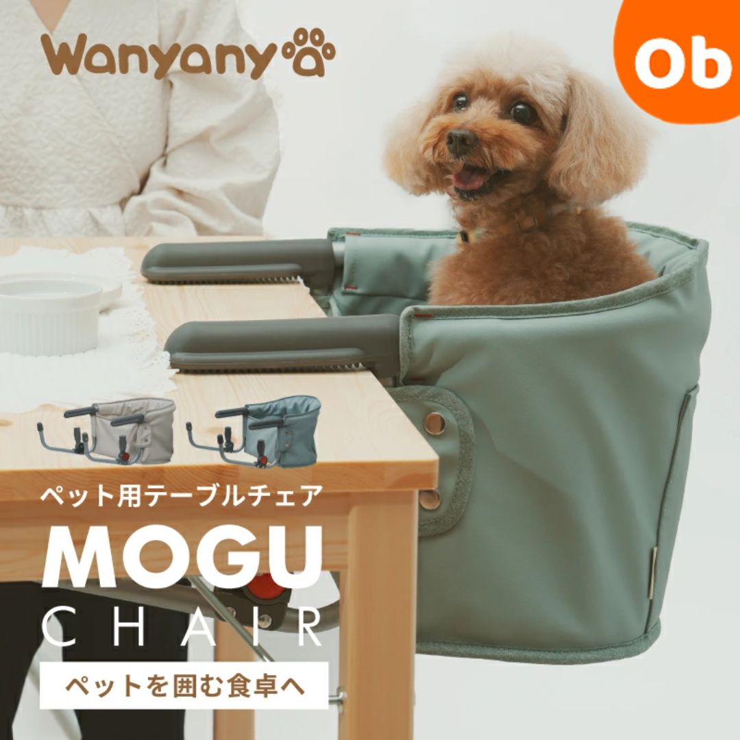 楽天市場】【さんごチェア公式・正規販売店】 さんごチェア