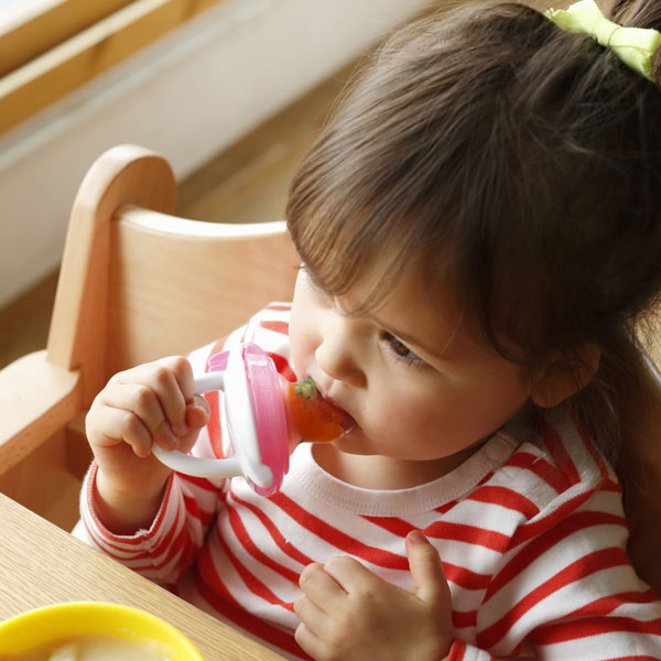 Orange Baby Munchkin Munchkin たべたくなーる Baby Food Feeder