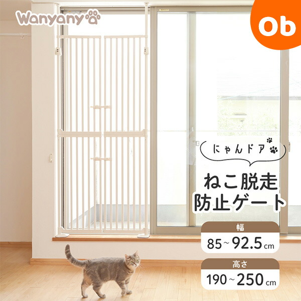 引き換え証
