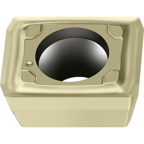 ワルター 穴あけ加工用 長方形チップ ＷＸＰ４０ LCMX050203-D57 WXP40 【入数：10】 【411-7088】 10,914円