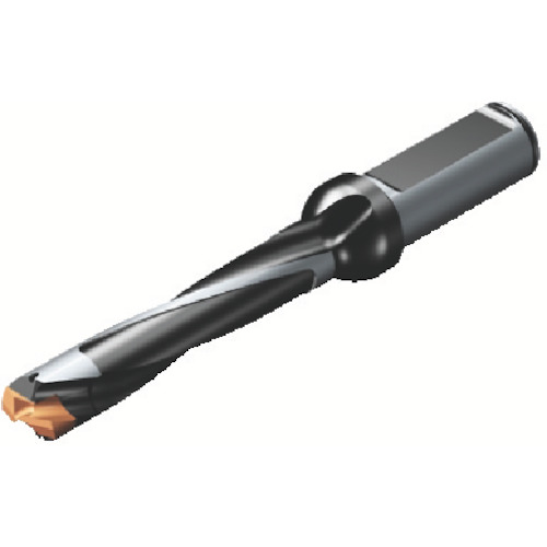 サンドビック コロドリル８７０ ヘッド交換式ドリル（４４６） 刃径１１．５０ｍｍ 溝長６１．８０ｍｍ 全長１２５ｍｍ シャンク径１６ｍｍ 870-1150-9L16-5 (446) 【614-5213】｜オレンジ便利