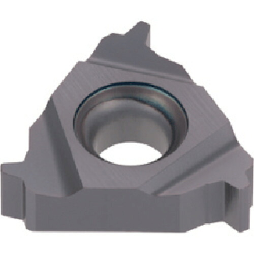 タンガロイ タング・スレッド 外径用３０°台形ねじインサート ＥＲ－ＴＲ ＡＨ７２５ 22ER50TR AH725 【入数：5】 【709-6054】