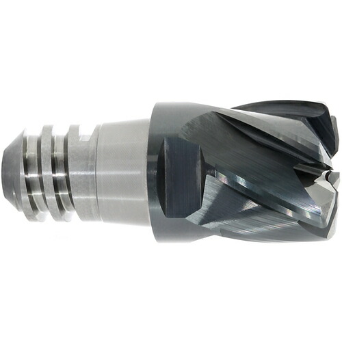 マパール ＭＡＰＡＬ ＣＰＭｉｌｌ－Ｕｎｉ－ＦｅｅｄＰｌｕｓ 「ＣＰＭ１７１」 CPM171-2500Z06-R0125-20-HP383 【775-4752】 36,465円
