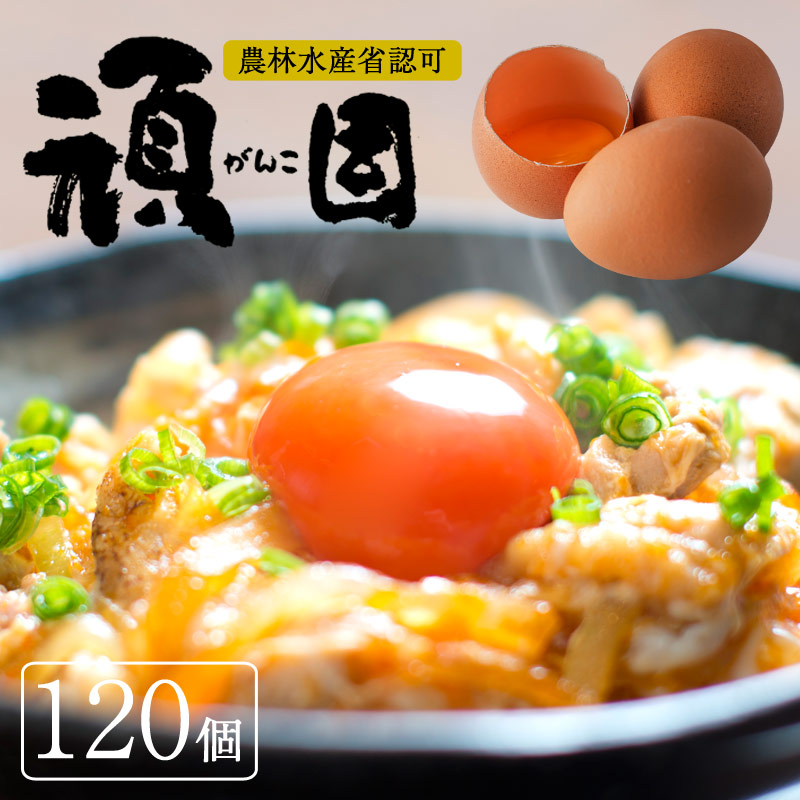 楽天市場 送料無料 生卵 卵かけご飯 お歳暮 たまご 卵 赤玉 お試し 高級 高級卵 濃厚 鶏卵 栄養 新鮮 ギフト プレゼント 歳暮 お歳暮 ビタミン 保証 卵かけ ご飯 パック 包装 玉子 アレルギー 生 オレンジエッグ楽天市場店