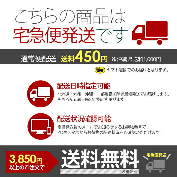GTシューズキーパー(シューキーパー)男性用(フリーサイズ)【左右入り1足分】【あす楽対応】