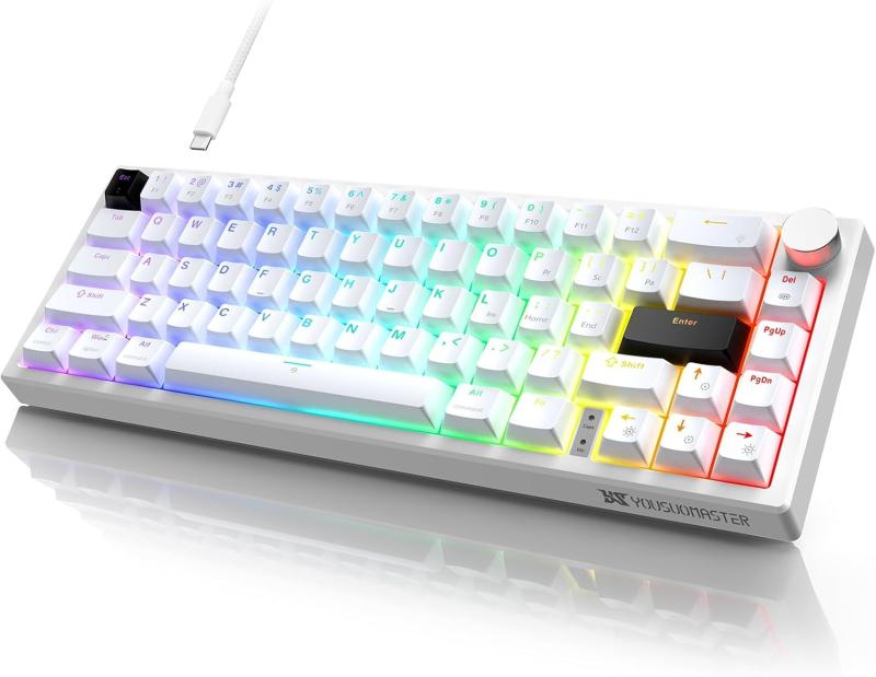 ゲーミングキーボード メカニカル キーボード ゲーム USB 有線 赤軸 リニアスイッチ ガスケット構造 全キーロールオーバー RGBバックライト テンキーレス 着脱式ケーブル 小型 US配 4,819円