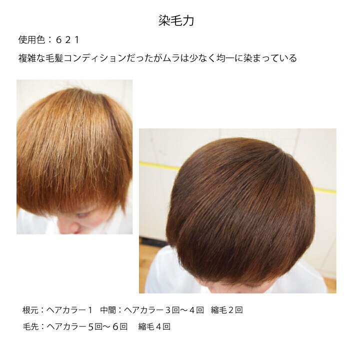 楽天市場 Revron レブロン ニュートリカラー クリーム 250g ボトル 各色 美髪 プロ用 オレンジな気持ち