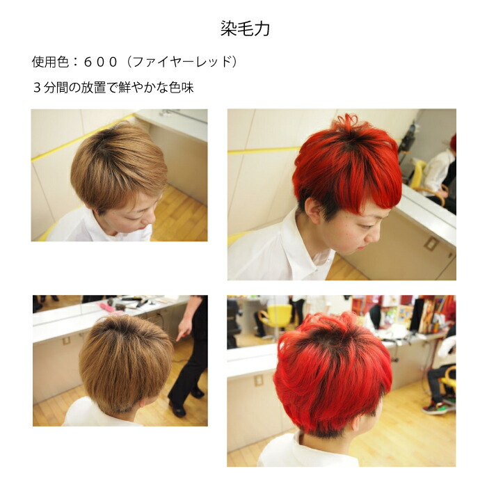 楽天市場 Revron レブロン ニュートリカラー クリーム 250g ボトル 各色 美髪 プロ用 オレンジな気持ち