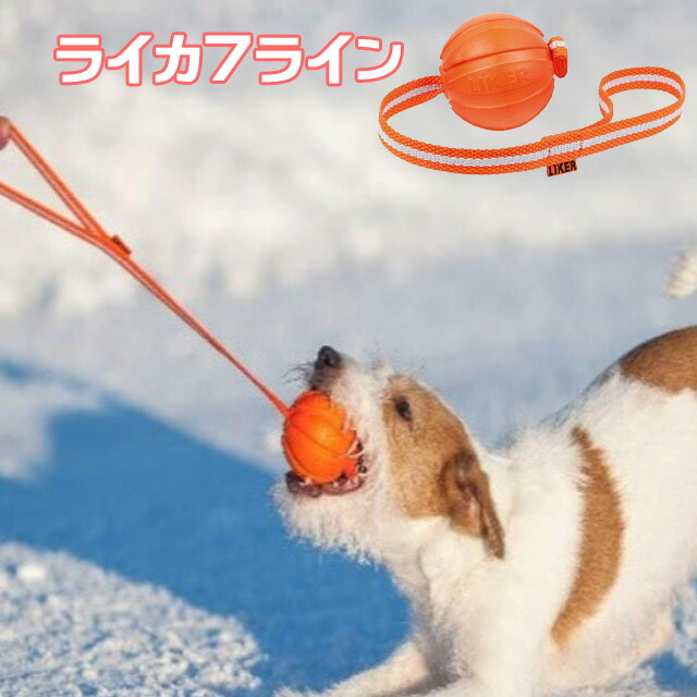 楽天市場】【LIKER ライカー】LIKER LINE ライカーライン LIKER 5 魔法